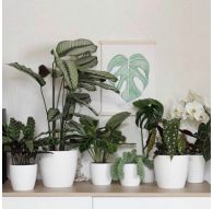 Горшок MAGNOLIA d18, h15,9 см, 3,13 л