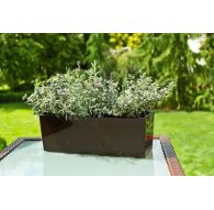 Горшок-контейнер БЕГОНИЯ с вкладкой Н190*В190*L560, МОККО