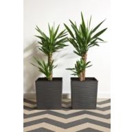 Горшок ЮККА ДЖУТО с вкладкой 300*300*310, Графит