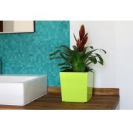 Горшок ЮККА с вкладкой 190*190*195мм, Светло-зеленый