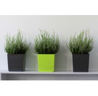 Горшок ЮККА с вкладкой 250*250*260мм, Антрацит