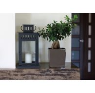 Горшок ЮККА с вкладкой 400*400*415мм, МОККО