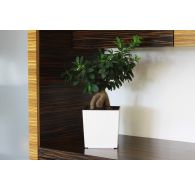 Горшок ЮККА с вкладкой 400*400*415мм, Белый