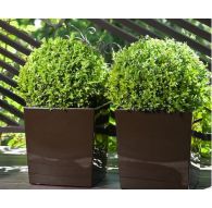 Горшок ЮККА с вкладкой 190*190*195мм, МОККО