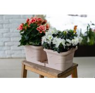 Цветочный дуэт Валенсия 2*2,9л.  пудра