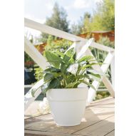 Горшок с дренажной системой Лори VipSet 15,6л белый