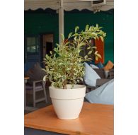 Горшок с дренажной системой Лори VipSet 15,6л крем