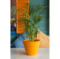 Горшок с дренажной системой Лори VipSet 15,6л мед