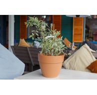 Горшок с дренажной системой Лори VipSet 15,6л терракот