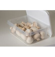 Контейнер Freshpak 1 л (снежно-белый)