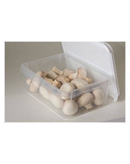 Контейнер Freshpak 1 л (снежно-белый)