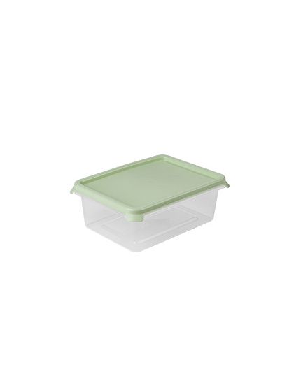 Контейнер Freshpak 1 л (чайное дерево)