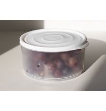 Контейнер Freshpak 1,6 л (снежно-белый)