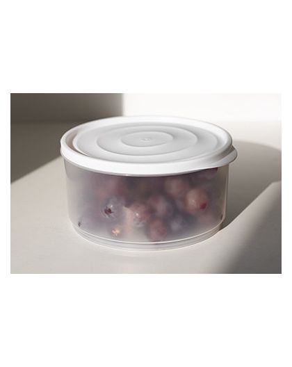 Контейнер Freshpak 1,6 л (снежно-белый)