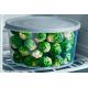 Контейнер Freshpak 2,4 л (голубой песок)
