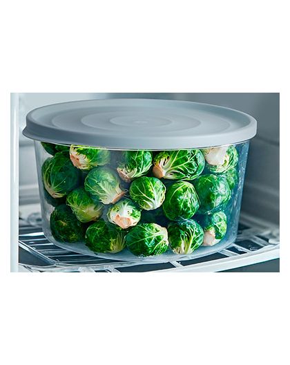 Контейнер Freshpak 2,4 л (голубой песок)