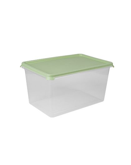Контейнер Freshpak 6 л (чайное дерево)
