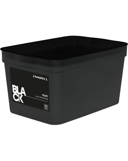 Ящик для хранения Keeplex Trendy 2,3 л 21,1х14,1х11 см