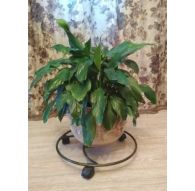 Подставка для цветов на 1 горшок «Напольная на колесах» h 7, l 36, d 36 БРОНЗА, МЕДЬ, ЧЕРНЫЙ