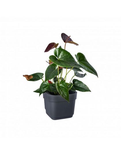 Горшок для цветов фактурный Hills 4л (d188, h176мм)(серый)