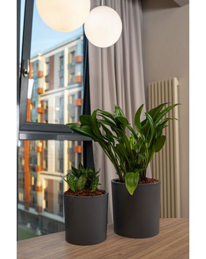 Горшок для цветов с дренажной вставкой Genius 2,5л (d157, h156мм)(серый)