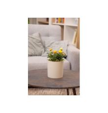 Горшок для цветов с дренажной вставкой Genius 3,9л (d182, h180мм)(молочный)