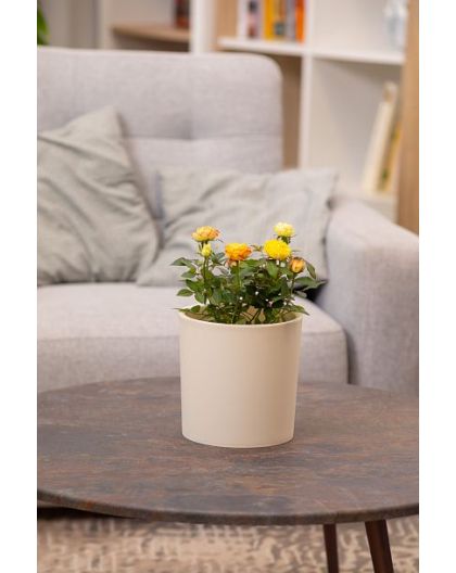 Горшок для цветов с дренажной вставкой Genius 3,9л (d182, h180мм)(молочный)