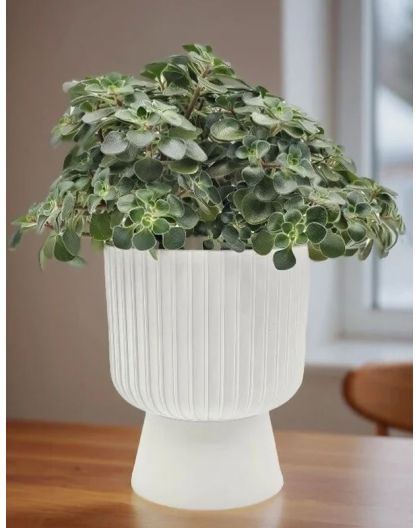 Горшок цветочный Бекер, 4,6 л, белый