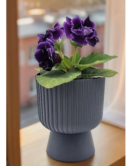 Горшок цветочный Бекер, 4,6 л, антрацит