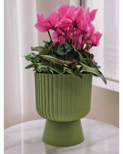 Горшок цветочный Бекер, 4,6 л, папоротник