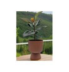 Горшок цветочный Бекер, 4,6 л, терракот