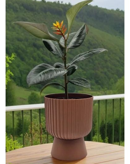 Горшок цветочный Бекер, 4,6 л, терракот