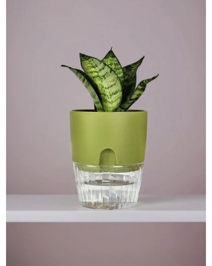 Горшок цветочный Аквадуэт, 1,5 л, папоротник с поддоном