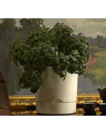 Горшок цветочный Гранд, 17 л, белый