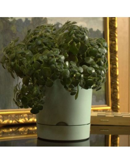 Горшок цветочный Гранд, 17 л, мята