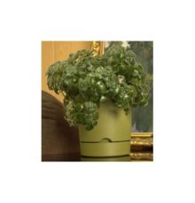Горшок цветочный Гранд, 17 л, папоротник