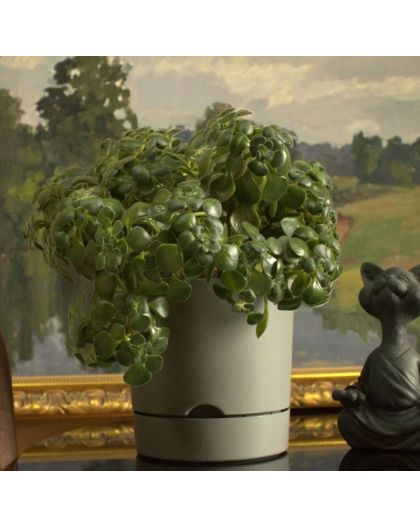 Горшок цветочный Гранд, 17 л, серый-муссон