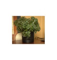 Горшок цветочный Гранд, 17 л, черный