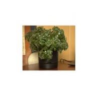 Горшок цветочный Гранд, 17 л, черный