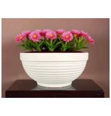 Миска Парма, D40 белая 14,2л.