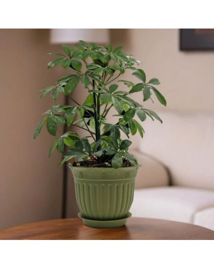 Горшок цветочный Виноград, D 29, папоротник с поддоном