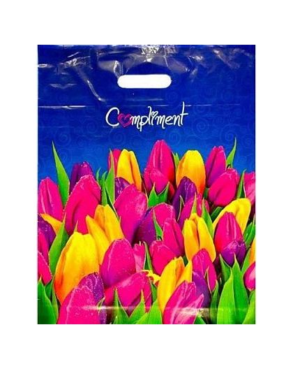 Пакет ПЭ с вырубной ручкой 38х47+6 (60) (Комплимент) ламинированный Интерпак (упак.50шт)