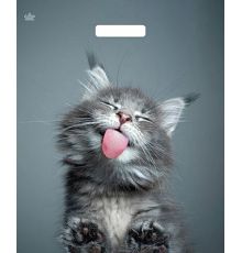 Пакет ПЭ с вырубной ручкой 38х45+3 (60) (Кот) ламинированный Тико (упак.50шт)