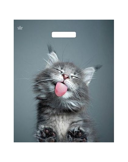 Пакет ПЭ с вырубной ручкой 38х45+3 (60) (Кот) ламинированный Тико (упак.50шт)