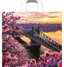 Пакет ПЭ с петлевой ручкой 38х34+3 (70) (Дунай) (упак.50шт)