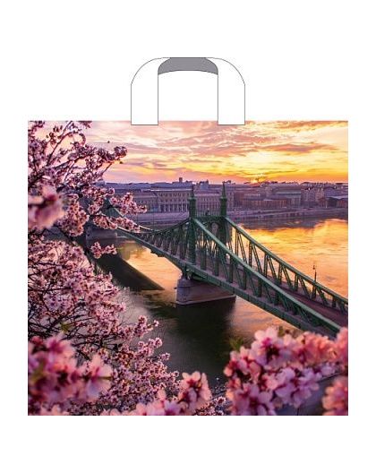 Пакет ПЭ с петлевой ручкой 38х34+3 (70) (Дунай) (упак.50шт)