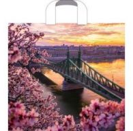 Пакет ПЭ с петлевой ручкой 38х34+3 (70) (Дунай) (упак.50шт)