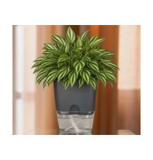 Горшок цветочный Квадрат Аквадуэт 11,5*11,5 см 1,5 л антрацит