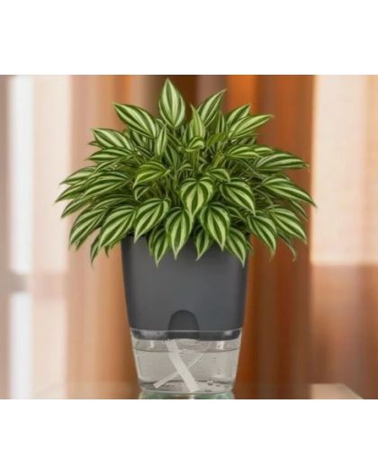 Горшок цветочный Квадрат Аквадуэт 11,5*11,5 см 1,5 л антрацит