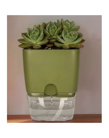 Горшок цветочный Квадрат Аквадуэт 11,5*11,5см 1,5 л папоротник